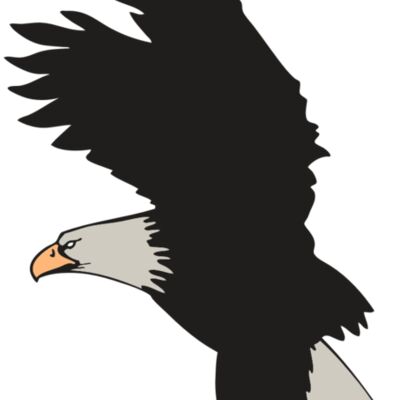 AR EAGLE 91 RC Thumbnail