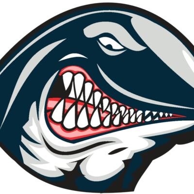 WHALE HD0501 RQC Thumbnail